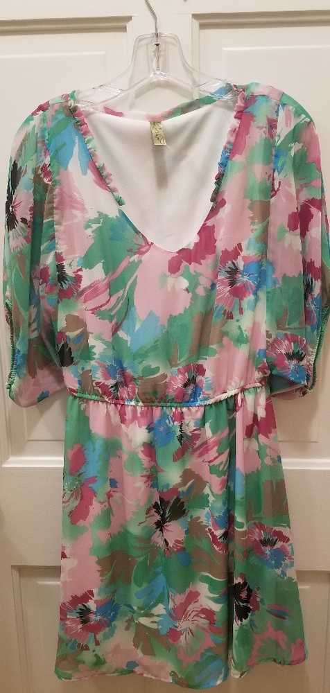 Francesca's Floral Dress